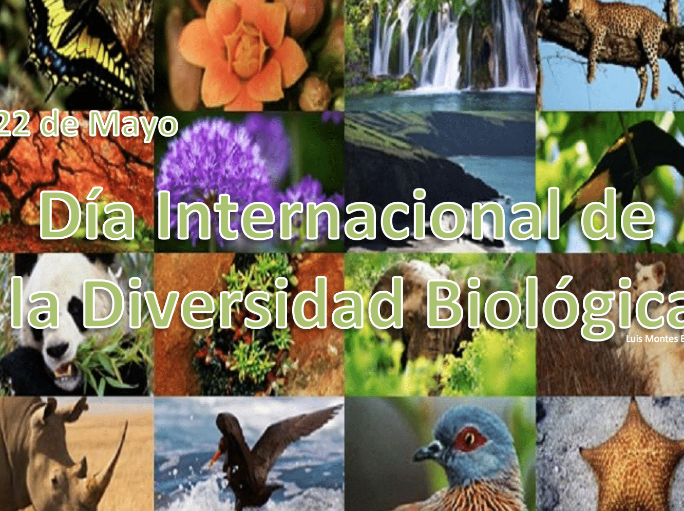 dia internacional de la diversidad biologica 22 de mayo