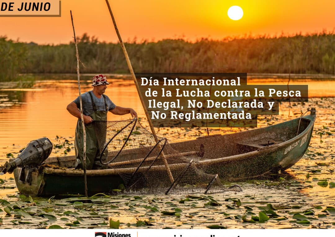 dia internacional de la lucha contra la pesca ilegal 5 de junio