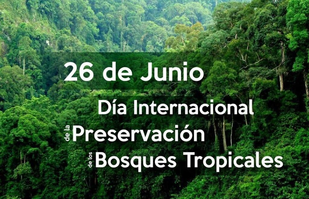 dia internacional de los bosques tropicales 22 de junio