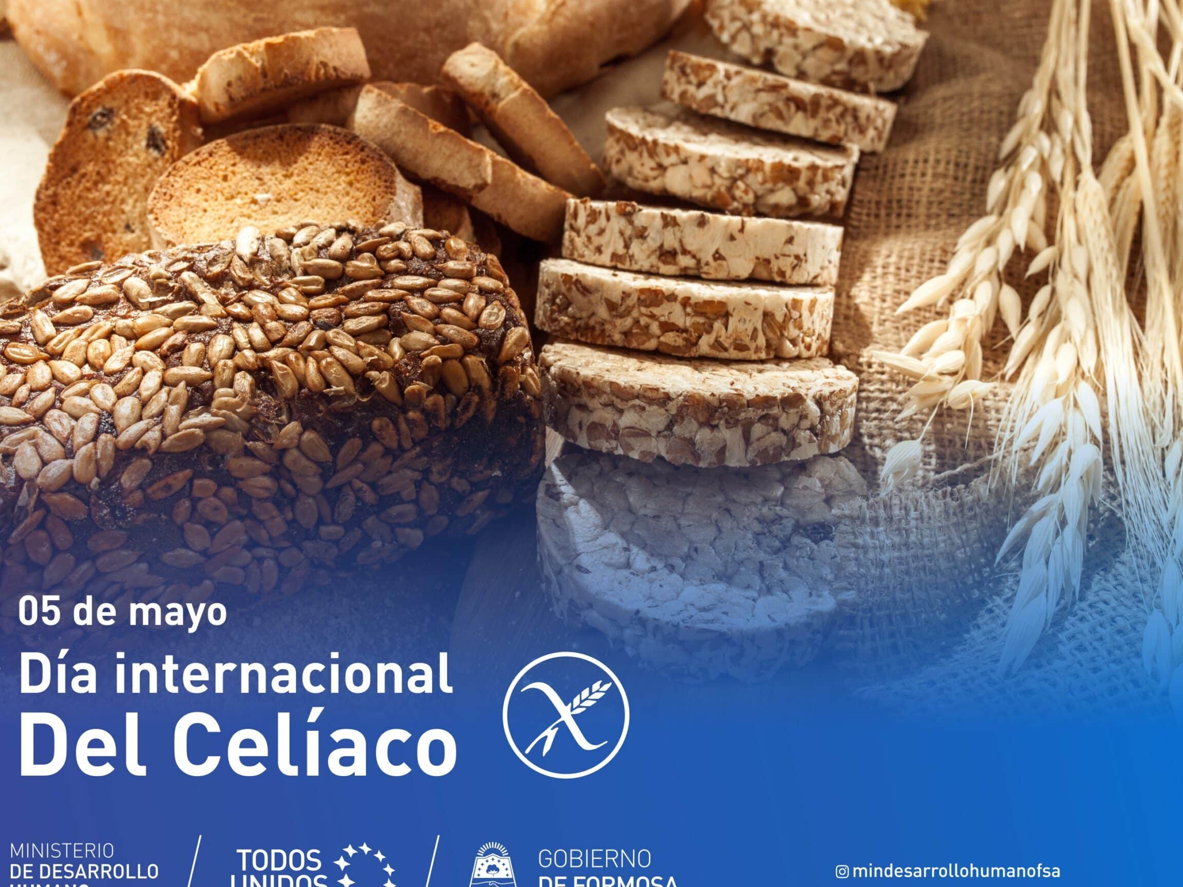 dia internacional de los celiacos 16 de mayo