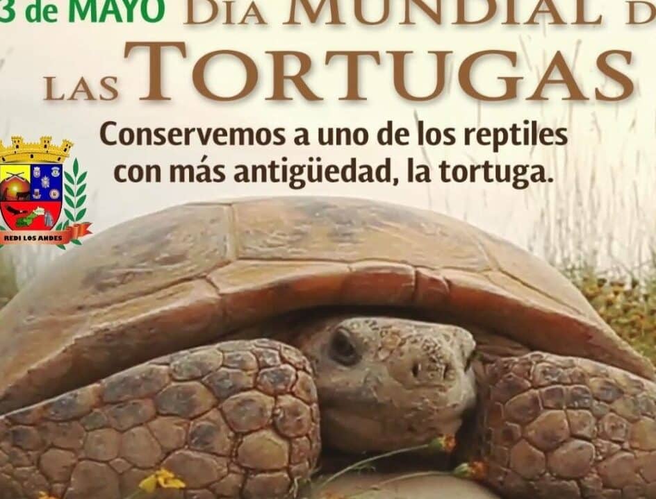 dia mundial de la tortuga 23 de mayo
