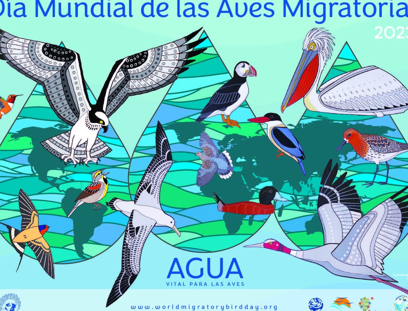 dia mundial de las aves migratorias 13 de mayo
