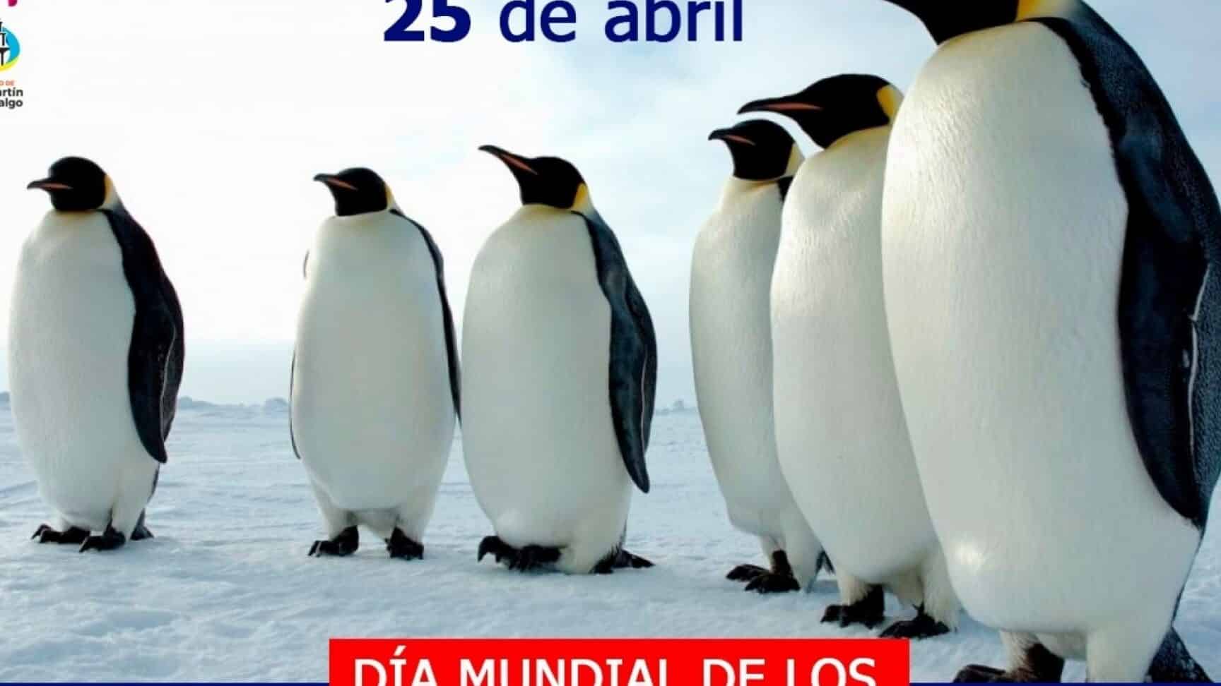 dia mundial de los pinguinos 25 de abril
