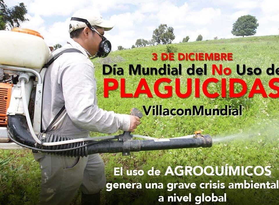 dia mundial del no uso de plaguicidas el dia 3 de diciembre