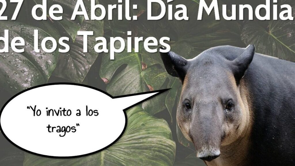 dia mundial del tapir 27 de abril