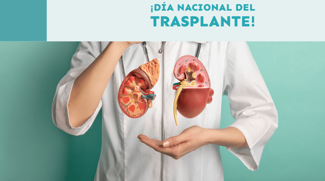 dia nacional del trasplante espana 29 de marzo
