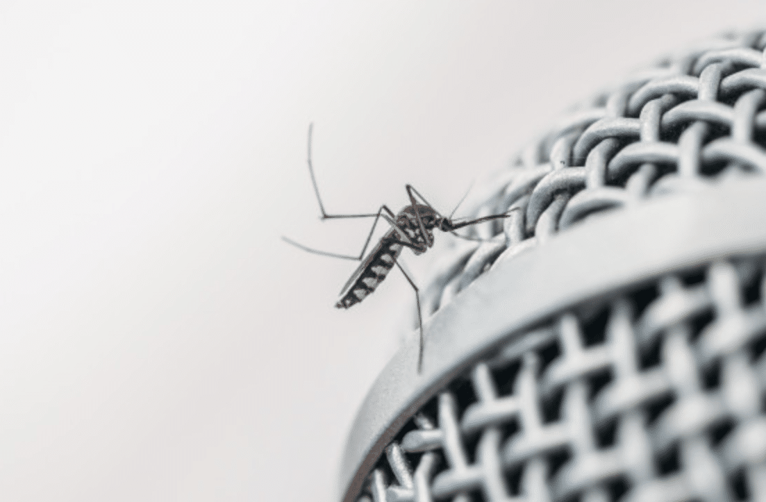 semana de accion contra los mosquitos 10 de mayo